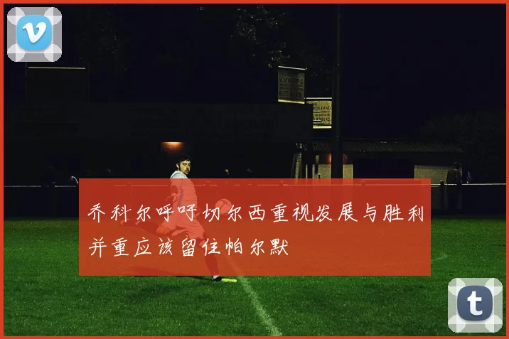 乔科尔呼吁切尔西重视发展与胜利并重应该留住帕尔默